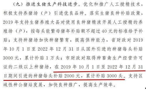 猪瘟最新爆料消息新闻,揭秘病毒传播途径与防控措施 第2张 猪瘟最新爆料消息新闻,揭秘病毒传播途径与防控措施 第2张