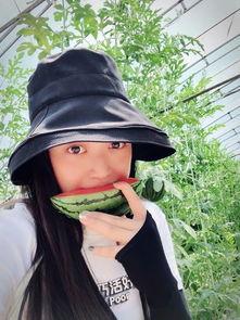 网红吃瓜大集合集,揭秘娱乐圈幕后风云 第2张 网红吃瓜大集合集,揭秘娱乐圈幕后风云 第2张